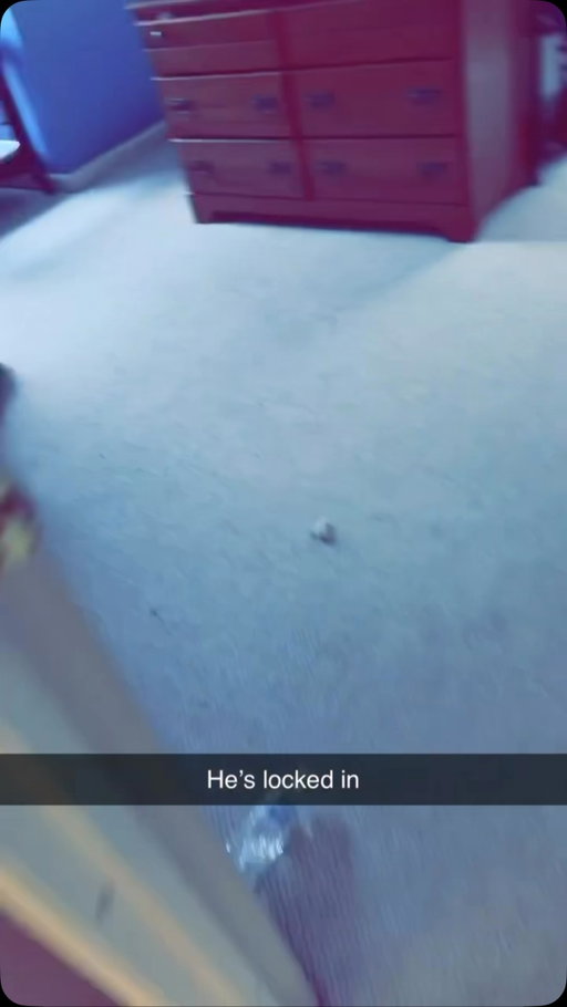 Follow (us) @FUCKJERRY for more content like this

(Credit: Mom)