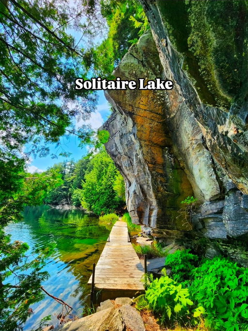 Most people have never heard of this trail. That's exactly why you need to go. 🌊

Solitaire Lake Loop — tucked inside Limberlost Forest and Wildlife Reserve near Huntsville, Muskoka.

The trail winds past small sandy beaches, marshy areas, and private cottages perched right on the lake. Then it takes you somewhere most hikers don't expect — the Hidden Cliffs Boardwalk, where you walk directly beneath a massive rock overhang, before climbing to Echo Rock Lookout. From up there, you're looking down at a deep blue lake surrounded by mixed hardwood forest.

This is the kind of trail you screenshot, save, and actually do.

💾 Save this before your next Ontario adventure. 

👇 Drop a ✅ if you've been here, or tag someone who needs this on their summer list.
📸 Tag someone you'd love to share this adventure with!
➡️ Send it to someone so you don't forget
🔥 Be sure to save this trail for later! 

°
°
📍  Solitaire Lake
🥾  6.3 km 
🎚️ Moderate
📷  Samsung S26 Ultra
🚗  2h 50m from Toronto
°
°
°
°
°
°
°
°
°

#OntarioHiking #HiddenGemsOntario #hiking #ExploreOntario #getoutside

Boardwalks for days!

Mighty waterfront trees

Always more just around the bend

The lookout cliffs

Right up to the water

Ghost pipe