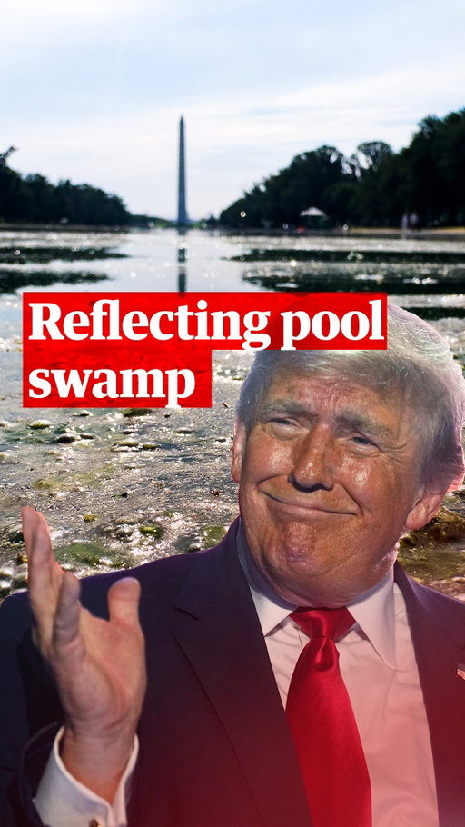 “George W. Bush took on al-Qaida – and [Trump] takes on al-gae.”

The Lincoln Memorial reflecting pool in Washington DC will have to be drained again. Donald Trump has blamed vandalism for the failure to keep the water “American flag blue”. But what if this small body of water is proof that the president can’t outrun the truth?

Jonathan Freedland speaks to Arwa Mahdawi about why this project, which has cost the taxpayer millions, is proving such an embarrassing failure for a man obsessed with image.

#uspolitics #trump #washington #lincolnmemorial #politics