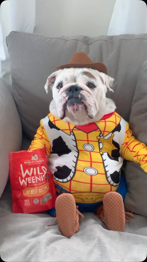 There's a snake in my boot! 🥾🐍🤠 Off to see Toy Story 5! 🐎 #toystory5 #toystory #woody #cowboy #bulldog