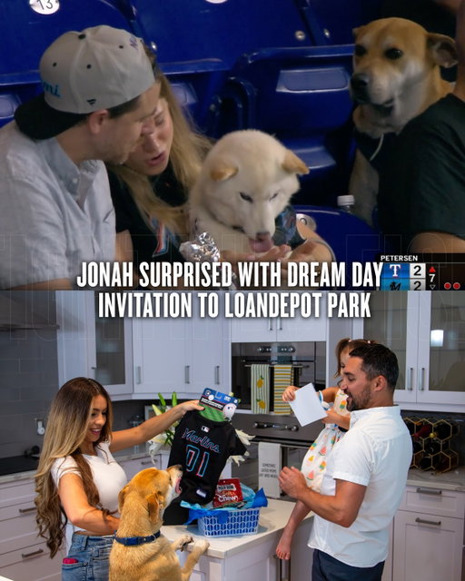 The update you’ve all been waiting for...

His name is Jonah, and his Dream Day is July 12 at @loandepotpark! Join us to cheer him on!

Born in Aruba, @jonahthecunucu is a rescued cunucu who found his forever home with the Silveira family thanks to New Life for Paws. Inspired by his story, each ticket sold through his link will have a portion of the proceeds donated to help local rescue dogs like Jonah.

➡️ Marlins.com/Jonah