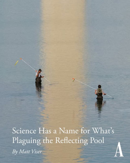 “The Reflecting Pool on the National Mall has become the country’s most high-profile science experiment, with workers battling against nature,” Matt Viser writes. “Scenedesmus,” a genus of green algae nicknamed “Skinny Dead Mouse” by scientists, is now flourishing, according to testing that was run at the request of The Atlantic.⁠
⁠
Read about Viser’s full investigation at the link in our bio.⁠
⁠
📸: Aaron Schwartz / Bloomberg / Getty