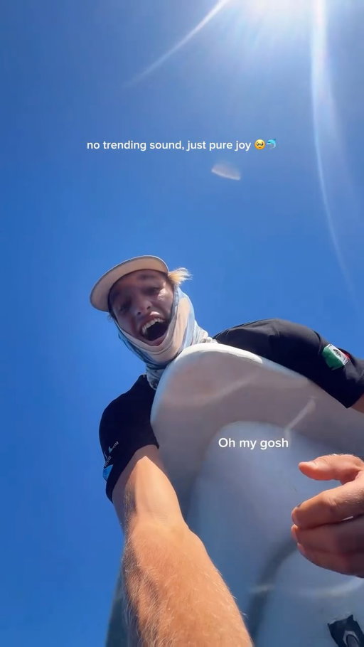 a day out of a dream ✨🥹🐬

Filmed during our mobulas and marine megafauna expedition in Mexico! 🇲🇽

DM me the word “MEXICO” to join us here May 2027! 💧🇲🇽