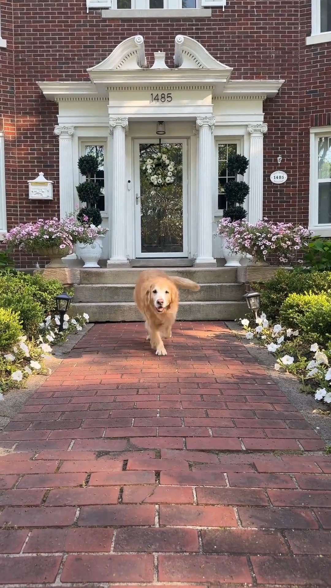Just one week until America’s 250th birthday ❤️ We love how @NikiMariePhoto styled her front porch with patriotic accents, timeless Americana charm, and one very happy greeter. Tap to shop the look! #MyPotteryBarn