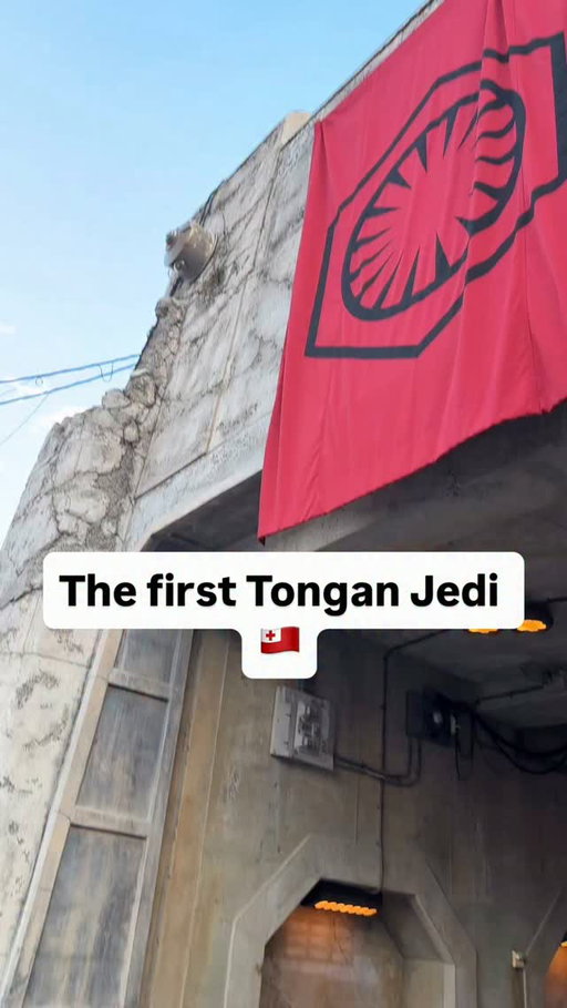 Star command do you copy? 😂🇹🇴🐴 #horseforce
#tongan #polynesian #comedy