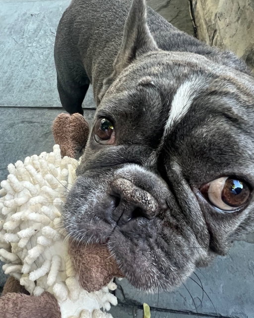 play time