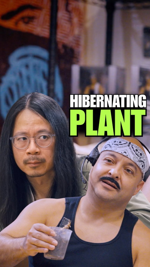 Some plants just take really long naps, ey 💤🪴

The homie @shengwangtime comes through to talk plant care and comedy on this week’s episode of Creeper’s Crib - out now on YouTube!