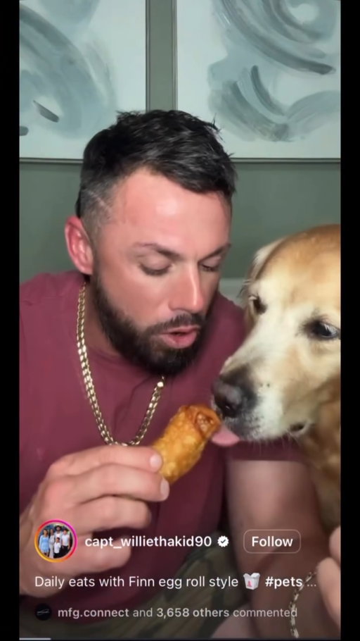 Idk what my dog thought this was but it ain’t that😭😭 #reels #explorepage #dog #funnydogreels #pets
