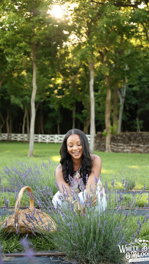 I can’t stop thinking about my time here💜. This did NOT feel like Ohio🫣

I was invited to a private pre-event at @whitebarnandblooms , and honestly—it was one of the most intentional, well-curated experiences I’ve ever had as a content creator.

From lavender field moments, to hands-on floral activities, permanent bracelets, and local vendors—it felt like every detail was thoughtfully done. Truly unforgettable.

And this was just the preview… the Full Bloom Lavender Festival is coming July 11th & 12th 🌿💜

If you’ve been thinking about going, early ticket pricing is available now (and prices will increase at the door), so don’t wait—this is a can’t-miss summer experience in Ohio.

Can’t wait for you all to experience it.

Vendors I got to meet + love 🤍:
@spiritsodaco 
@catering_by_rotem 
@metalandmossco 
@consider.the.wildflowers 

Thank you again to White Barn & Blooms for the invitation and for such a beautiful experience. 💜 #cincinnatithingstodo #whitebarnndblooms