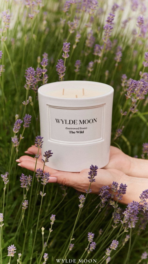 ⚡Last call for 20% off⚡
There are just a few hours left to get 20% off all your favourite @wyldemoon goodies.

Offer ends at midnight - click the Boutique link in bio before it's too late💫 🌙