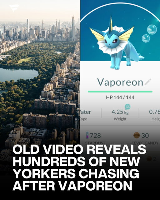 This Pokémon caused a human stampede 😳

During the height of Pokémon GO, Central Park was the city’s top hotspot, and a rare Vaporeon spawn in the summer of 2016 sent hundreds of people charging through the park on foot and bikes, some leaving their cars running in the middle of the street.

The things people did a decade ago just to catch them all will never get old.