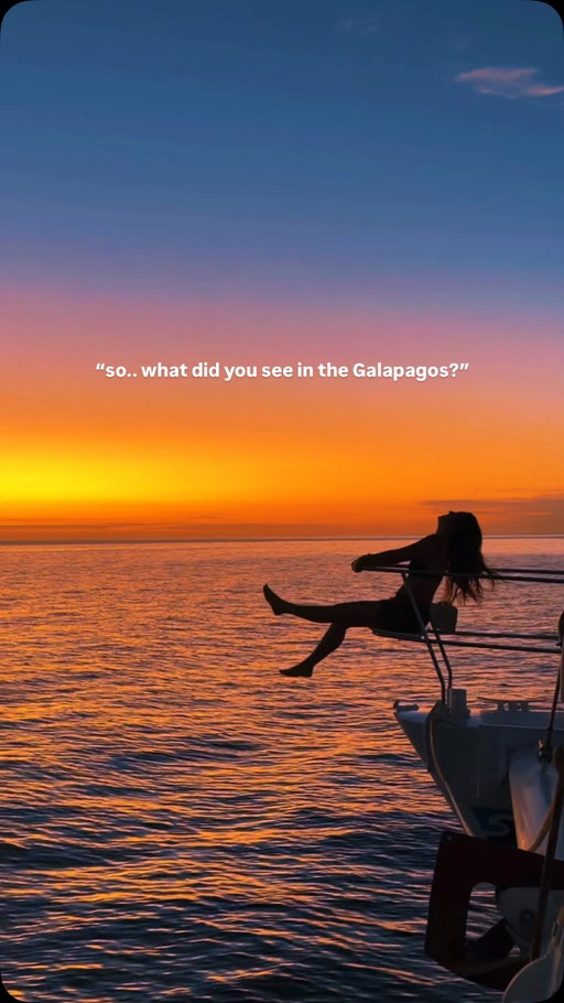 just a little bit of this 🤭✨can you believe this was only in 5 days?!!

the Galapagos is truly where nature is untouched and protected and on our recent group trip to the Galapagos we got to witness the abundance of life there 🥹♥️

is Galapagos on your bucketlist?! maybe i’ll host another one next year 🤪 comment ‘🦭’ if you’re interested 🫶

#travel #galapagosislands #galapagoswildlife #naturetravel #wildlifeshots