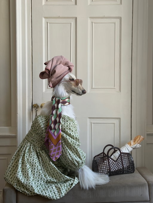 Running fashionably on time. @afghanhoundinthecity @crownaffair