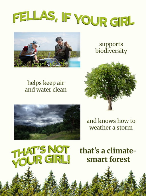 She’s green, resilient and supports biodiversity? Sounds like our kind of forest. 

Visit our website to learn more about climate-smart forests!