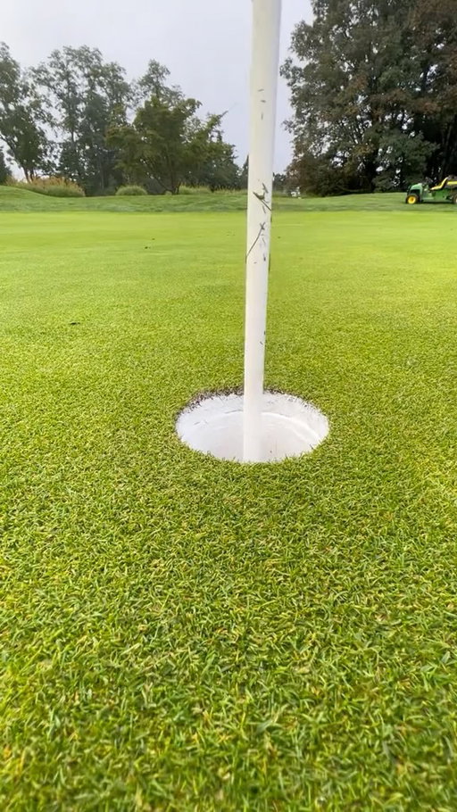 The sounds of golf 😍 #golf #golfer #golfcourse