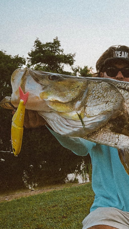ITS A GIANT GIANT… @throwbackbaits 

•
•

Within the first five minutes of my return from my long hiatus of tossing the glide I managed to stick the fish of a lifetime, a freshwater 40” snook on the infamous Pink Lemonade Metro Glide from @throwbackbaits 

I wouldn’t have landed this fish if it wasn’t for @battle.braid 50lb! Link in bio!

•
•

#fishing #snook #snookfishing #glidebait #swimbait