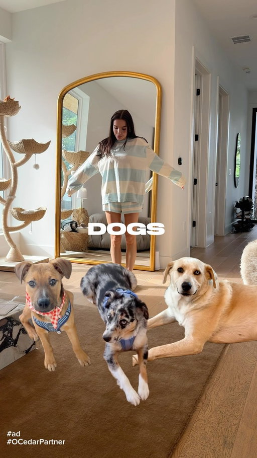 #ad 3 dogs + 1 cat + hardwood floors = I mop more than any person should. And I am very particular about what goes on my floors because whatever is on them ends up on my dogs and honestly on me too. The O-Cedar RinseClean Spin Mop is the one I use downstairs where most of the real damage happens. The two bucket system is the reason. Clean water never touches dirty water, which sounds obvious but I promise you most mops are just moving the same dirty water around your floor the whole time. I use my own nontoxic floor cleaner in it which I love. No fragrance, no chemicals I can't pronounce, just clean floors. @OCedarClean #OCedarPartner