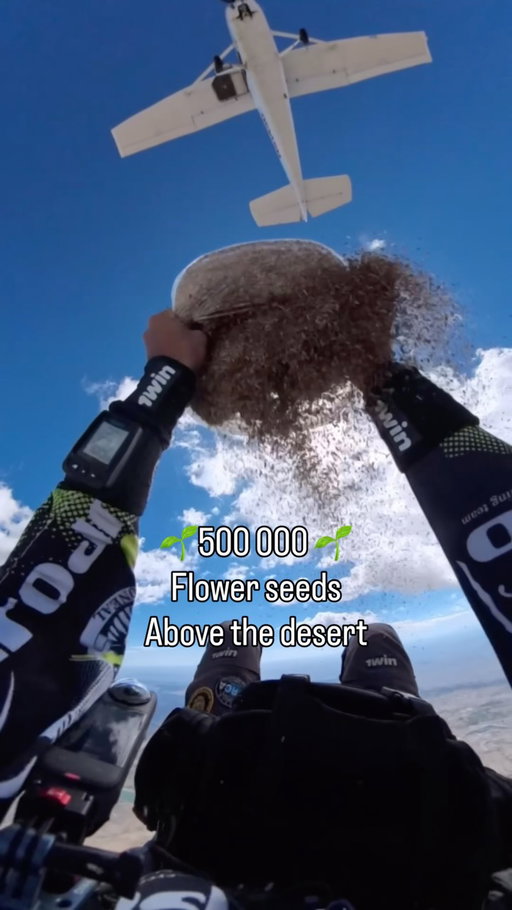 500k 🌱seeds native flowers, above the Desert. Parachute landing.
@1win_extreme_
#1win_extreme
@insta360
@skydive_colorado_springs
@coloradojeeptours
@raft_masters
#insta360
#acepro2
#wideangle