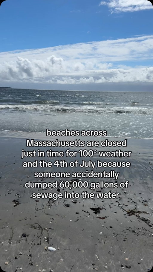 just super! 💩

#boston #newengland #massachusetts #4thofjuly #beaches