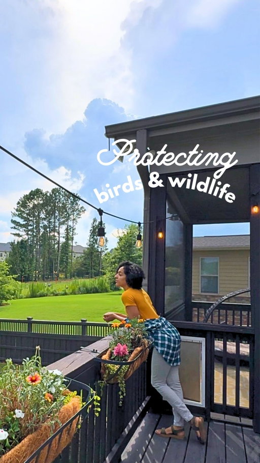 I love looking at fireworks, but I love animals more. We know what’s happening, but they don’t 🐦‍⬛

So if you find an animal in distress after the 4th (or anytime really), contact your local wildlife rehabber or use the @animalhelpnowapp, a resource I find helpful.
