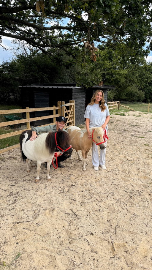 🐴We are officially Pony Foster Parents 😭🐴 Meet Thumbelina & Mermaid. They are two girls who were rescued by the incredible Redwings Horse Sanctuary. 

Thumbelina was seriously neglected when she was rescued by Redwings who saved her & mermaid’s owner could no longer look after her 😢 So we are so greatful to be able to offer them a home. In the hope that they’re happy and want to stay forever one day. 

We have a grass area sectioned off for them & also a dry area. Redwings will check in and visit us and give us all of the guidance we need to be the best pony parents for mermaid and Thumbelina. One of my dearest friends Lianne from the incredible Hopefield Animal sanctuary is going to be our Pony hand/extra pony Mumma. As we do not take rescuing animals lightly and want to be the absolute best foster parents we can be. 

We can’t even describe how incredible it feels to be able to do this. I dreamed of rescuing animals growing up. 7 year old me would not believe where we are today. 🥹 Welcome to the family girls. We love you so much already 🥲