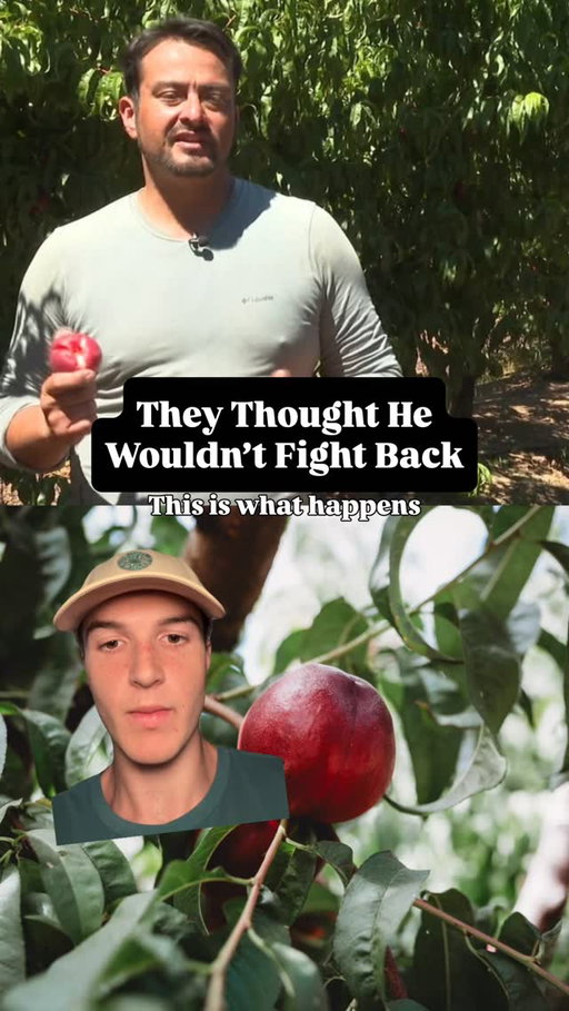Nectarine farmer is being sued out of business by Big Ag: