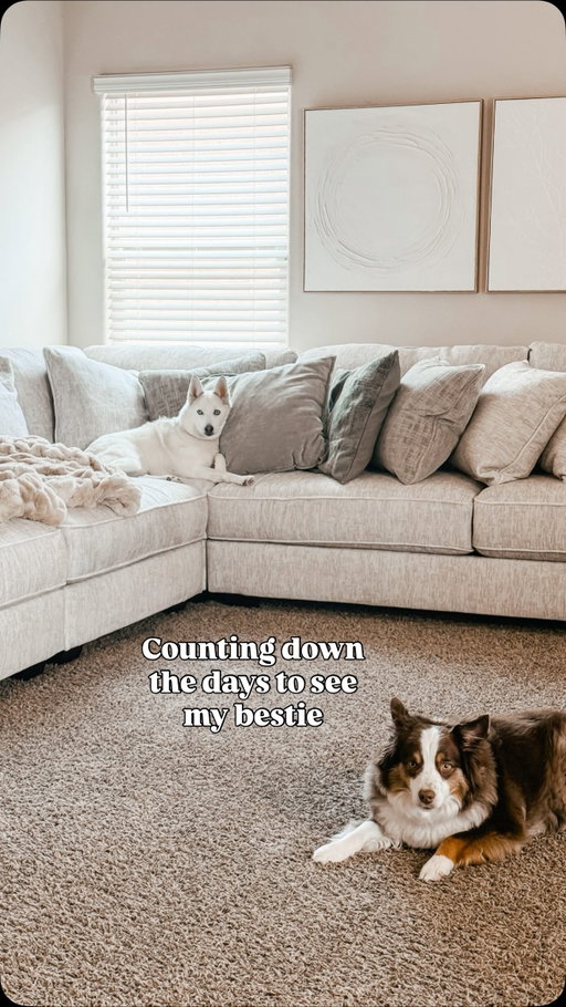 Why is it the longest countdown ever? Tag your bestie you are looking forward to seeing. 👇🏽🫶

Blessed to have a bestie 🥹🥰