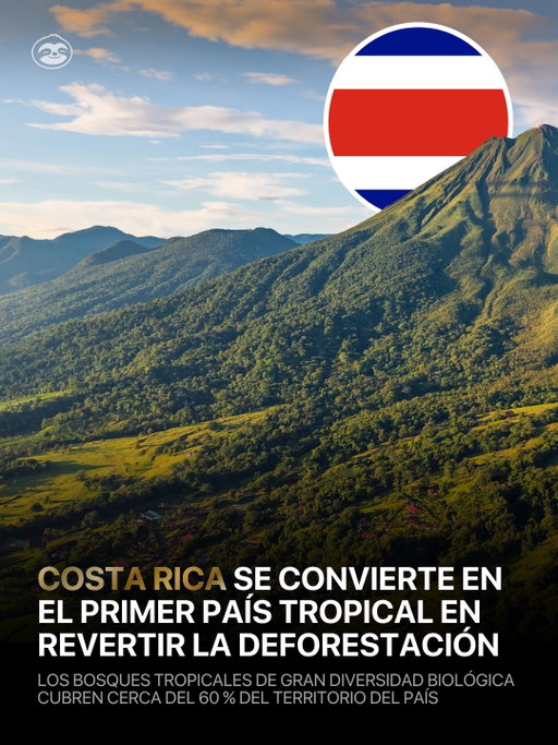 🇨🇷 Costa Rica se convirtió en el primer país tropical del mundo en revertir exitosamente la deforestación, demostrando que la conservación a largo plazo puede traer de vuelta los bosques y la vida silvestre.

Después de que la cobertura forestal bajara a cerca del 40% en 1987, fuertes programas de conservación ayudaron a restaurar el territorio. Hoy, casi el 60% de Costa Rica vuelve a estar cubierto de bosque.

Un estudio de 2026 incluso encontró que muchos bosques regenerados ya suenan casi como bosques lluviosos maduros, una poderosa señal de que la biodiversidad está regresando.

Un recordatorio de que la naturaleza puede volver a florecer cuando la protegemos.

—

🇺🇸 Costa Rica became the first tropical country in the world to successfully reverse deforestation, proving that long-term conservation can bring forests and wildlife back.

After forest cover dropped to around 40% in 1987, strong conservation programs helped restore the land. Today, nearly 60% of Costa Rica is forest again.

A 2026 study even found that many regenerated forests now sound almost like mature rainforests, a powerful sign that biodiversity is returning.

A reminder that nature can bloom again when we protect it. 

📸: @jose_costarica 

#CostaRica #PuraVida #Conservation #Reforestation