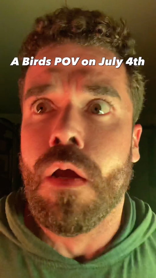 A birds POV on July 4th. #comedy #birds #july4th #flashwarning⚠️