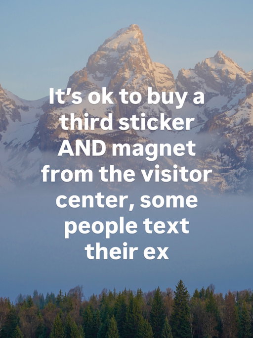 There could be worse things 🤷🏻‍♀️ 

But the sticker + magnet 👏

#nationalpark #grandteton