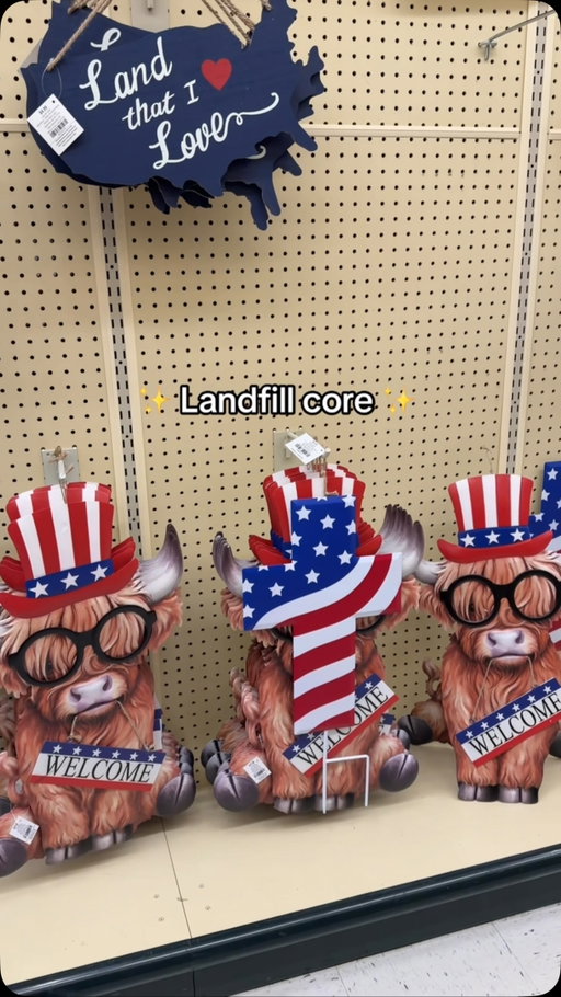 maturing is realizing it’s all JUNK and you don’t need it 🇺🇸 

#overconsumption #4thofjuly #deinfluencing #underconsumptioncore #junk
