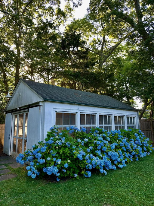 Happy July 4th!! The blooms on the hydrangeas are three years in the making! I love these blue beauties and every summer I shared images of them and you really enjoyed them too. I had to cut them back a few years ago because they were getting so big, and they didn’t bloom for the next two summers. I followed all the guides, advice, timing, techniques, but still no blooms. They’re finally back and well worth the wait, I think. Enjoy the holiday weekend.