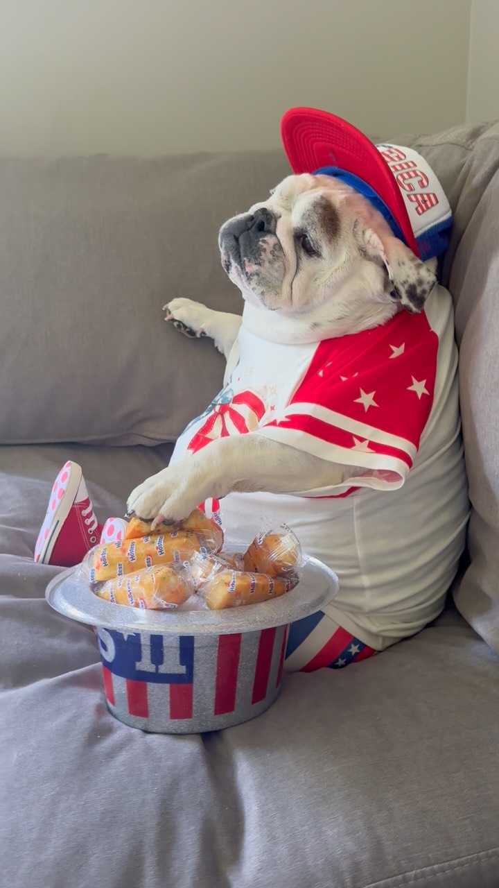 I make my own fireworks...🎆💨 Happy 250th Birthday America! 🇺🇸🎉🎂🥳 We hope you all have a safe and wonderful Fourth of July!! 🇺🇸🎆💙🤍❤️.
.
#fourthofjuly #4thofjuly #america250 #happybirthday #america