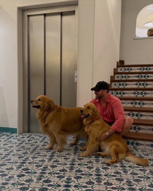 Yes, I am fully aware there are three golden retrievers in the first photo