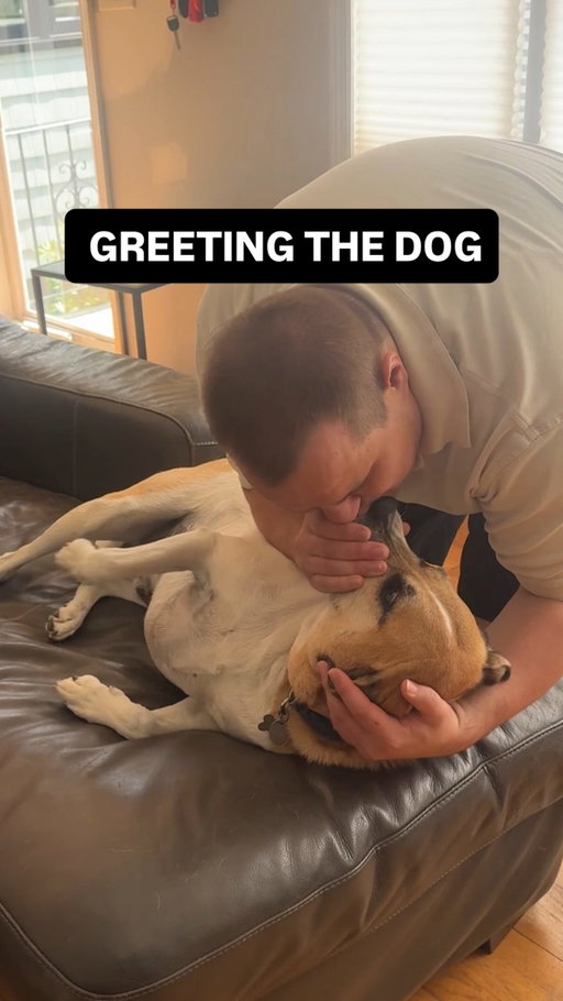 He didn’t even shake his hand #unhirables #dog #pet #comedy #skit