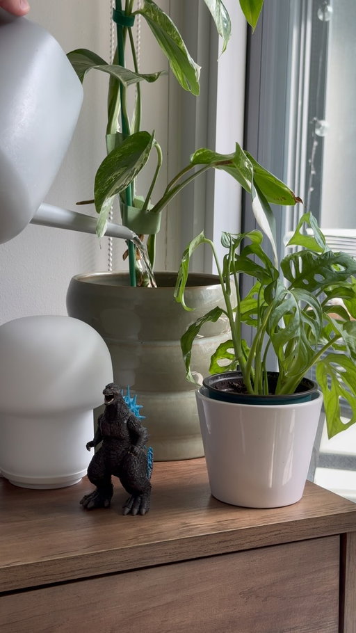 I love a sunday at home😮‍💨

#decor #homedecor #cozyhome #interiordesign #houseplant 

decor, homedecor, interiordesign, interiorstyling, cozy, cozyhome, homeinspo, organicmodern, plants, houseplants, myhome, instahome, boyapartment, apartment, ambientlighting, ambient, cozyhomes, aesthetichome, design, lifestyle, boyloft, loft, renterfriendly, smiski, betta, betta fish, betta setup