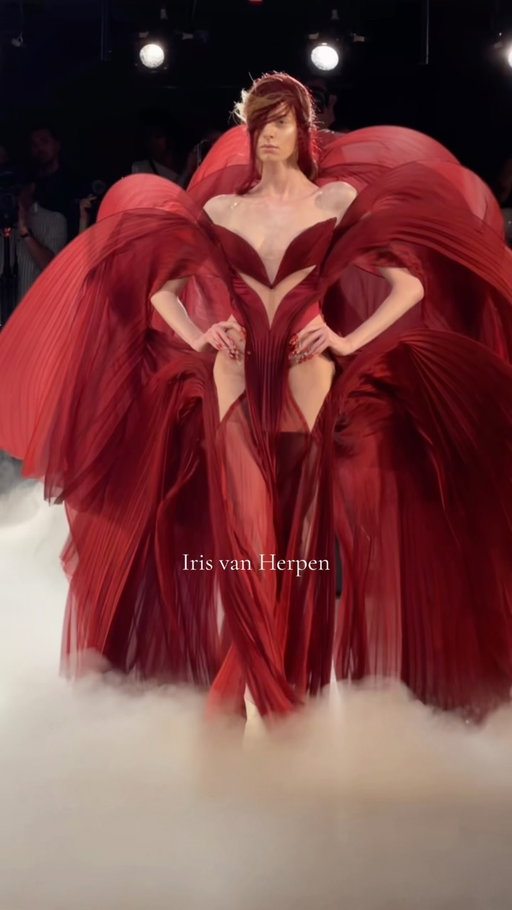 @irisvanherpen ✨

#couture #irisvanherpen #fyp #couture #art invitation