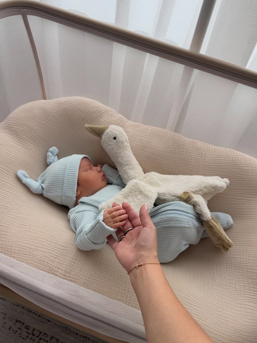 Meet the newest love of our lives, Axel 🤍🪿

I’ll never get tired of this view 🥹

Making himself at home 🥰

Who’s watching who? 🙊😂

My fave sunset view 🌅 

The sweetest kind of exhaustion 🤍

First Drs. appt 👶🏻

Cuddles after every feed idc 🤱🏻

*shook* he grabbed his hand on his own 🥲🤞🏼

Big brother duties 👦🏻

My heart outside my body 🌍🫀

Reading him his first book 📕😙

You look over and see this, wyd?

can’t wait for the chaos yall will be 🧸

We’re all obsessed over here 🥰

Pls stop time for a little … 🥺

Besties for life 🩵🩵

Her real life baby doll 💝

🪿👶🏻✨

Miles approves 🐾🤍