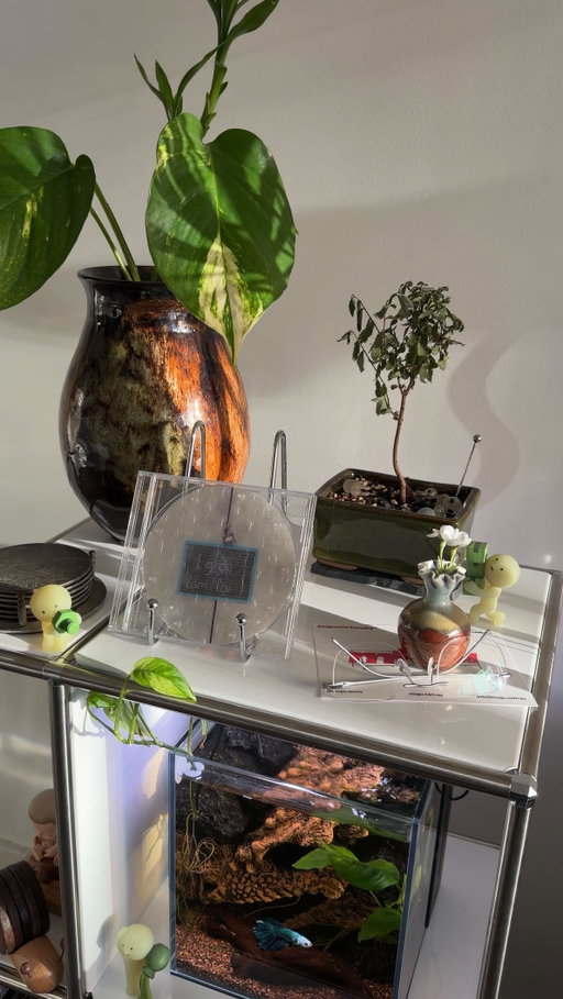 Love my new LP-5 shelf from @mugu.space! 🤍
I removed some of the panels to open up the shelf 😎 gotta love modular furniture! 
*AD
#interiordesign #homedecor #homeinspo #apartmentdecor interiordecor