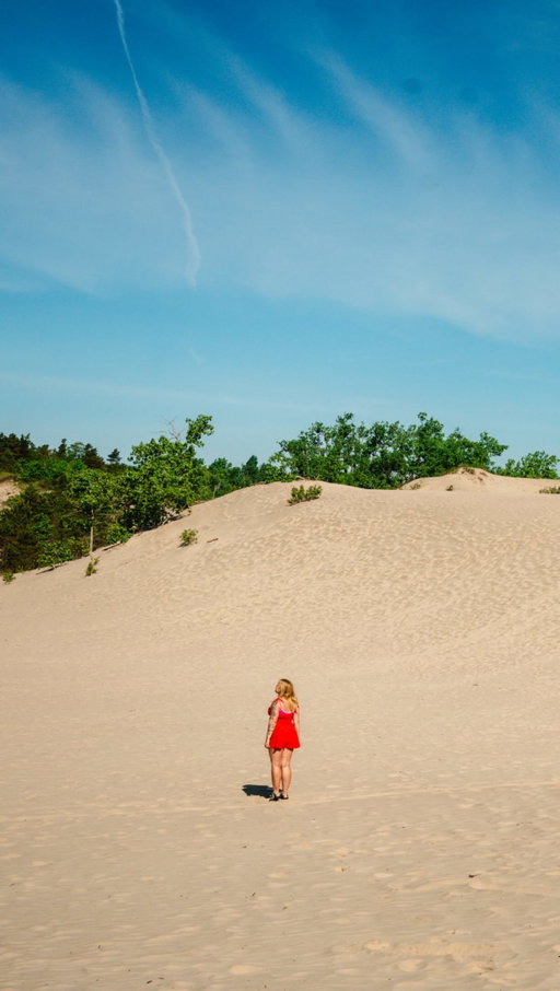 Have you been to one of the three beaches that Sandbanks Provincial Park has to offer? 🏖️ 

The beaches here are incredibly lush and perfect for an Ontario stay-cation that will make you feel like you visited the Caribbean! 🌞 

There’s also 6 hiking trails for you to enjoy, and rock formations for you to explore. 🥾 

🚙 2.5hrs from Toronto
🚙 3hrs from Ottawa

•

•

•

•

•

•

•

•

#sandbanksprovincialpark #sandbanks #ontarioparks #destinationON #ontariobeaches | Ontario Beaches | Ontario Parks | Sandbanks Provincial Park | Canadian destinations | PEC