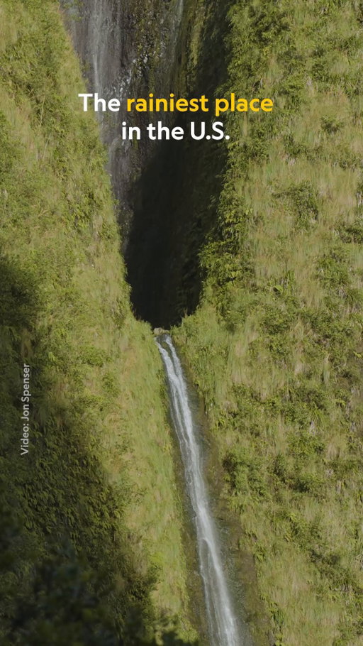 Several Hawaiian spots contend for the title of rainiest place, but Mount Waiʻaleʻale on the island of Kauaʻi has set eye-popping records, topping a hundred inches in a month as recently as 2021. The nearly mile-high peak snags moist trade winds, which cool and condense around its summit, enrobing the mountain in waterfalls.
 
In recognition of the 250th anniversary of U.S. independence, we're celebrating the grandest, wildest, and strangest bits of American geography and culture across every state and territory.

Head to the link in bio to discover more Wonders of America.

Video by Jon Spenser