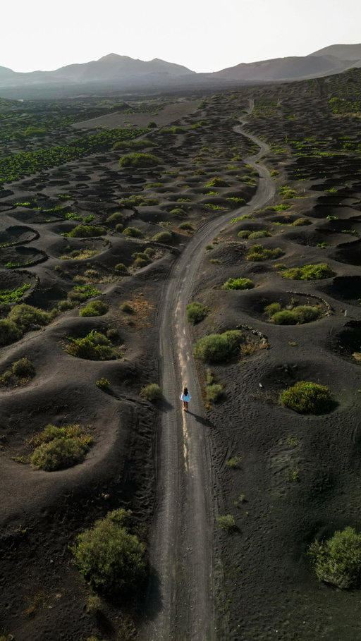 The most unique wine region in the world 😲🍷

📌 Make sure you SAVE this for your own trip and send it to who you’d sip wine here with. 

No this isn’t the moon!? Lanzarote’s La Geria wine region is without a doubt one of the coolest places on earth to enjoy a glass of wine. 

It’s here that the vines grow in the most unique way, in individual craters that are dug meters deep into the volcanic ash. Each vine is protected by a semi-circle stone wall to help shield it from the island’s strong trade winds. The result is that the landscape looks incredibly lunar like, amongst the volcanic backdrop. 

You can try excellent wine in La Geria, especially those from the indigenous grape called Malvasía Volcánica. 

We recommend that you spend an afternoon here and stop at a couple vineyards for tastings. For the best views, definitely don’t miss Bodega La Geria 🍷

If you’re looking for more underrated destinations and handy travel guides, then follow @thenomadsyouknow 🩵

Did you know this place exists? 
•
•
•
•
#lanzarote #canaryislands #bucketlistadventures #travelguide #wineregion