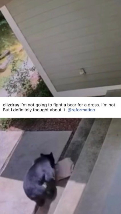 Bear necessities.