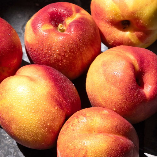 ⭐🍑 Sweet, Sunny & In

Juicy nectarines are at their best this time of year—delicious out of hand, sliced into salads, or grilled for dessert.

Come in and grab enough to share.

#UnionMarketNYC #UnionMarketNYCEats #UnionMarketNYCSeasonal #GoodFoodMatters #PeachSeason #EatWithCare #SummerFruit #EatSeasonal #NYCFoodie #SupportLocal