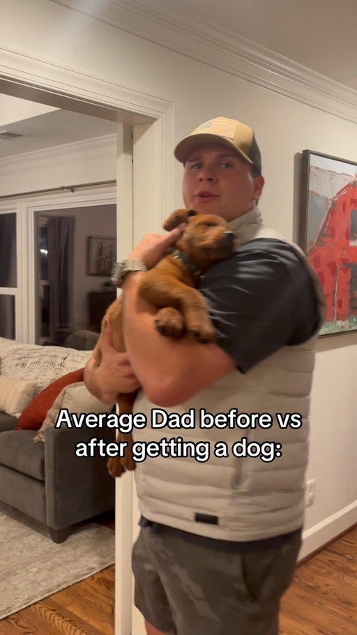 They switch up so fast😂😭 #dadsofinstagram #skit #comedy #dogsofinstagram