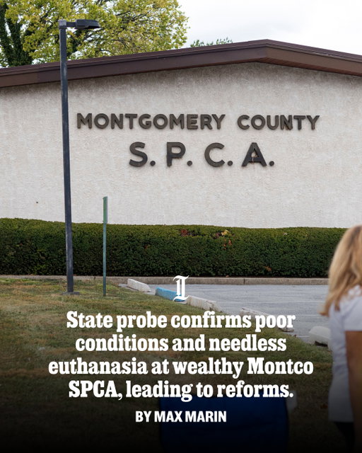 A 19-month probe led by the Pennsylvania Attorney General found that the Montgomery County SPCA violated state nonprofit laws, engaged in potentially avoidable euthanasia, and failed to use its $67 million in charitable assets to maintain healthy animal shelters, officials announced Wednesday.⁠
⁠
The probe began in October 2024, weeks after an Inquirer investigation revealed signs of mismanagement, hazardous conditions, and animal mistreatment despite being the state’s wealthiest animal shelter.⁠
⁠
In a statement, Attorney General Dave Sunday said his office reached a settlement with the nonprofit that requires it to replace its board of directors, hire new executive management, bring facilities up to code, and revise old bylaws. Sunday noted that those conditions had all largely been met.⁠
⁠
The shelter also must pay $21,040 in fines as part of the settlement.⁠
⁠
“Pennsylvanians who donate to charities should be able to trust that their money is being used to support an organization’s mission,” Sunday said in a statement. “This settlement holds the Montgomery County SPCA accountable, puts important safeguards in place, and serves as a reminder to other charitable organizations that they will be expected to fulfill their mission and comply with the law.”⁠
⁠
Read more at the link in our bio.⁠
⁠
📝 by Max Marin / Staff⁠
📸 by Monica Herndon / Staff