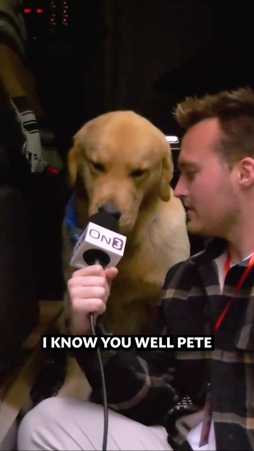 Peter is ready for another HUGE CFB Season 

#peter #cfb #big10 #sec #dogs