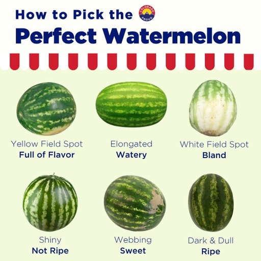 🍉 It's National Watermelon Month! 🍉 You can find in-season watermelon all month long at farmers markets, grocery stores, and roadside stands. 

Pro Tip: Give your melon a gentle tap and listen to the sound it makes. If the pitch sounds deep and hollow, the fruit has more water and is likely ripe! Happy pickin'!