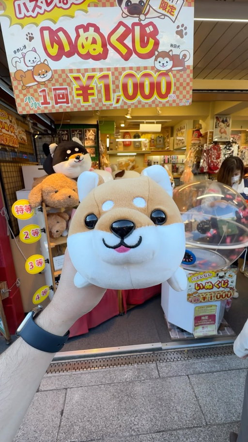 This was fun to do in Tokyo’s Asakusa area! 🐶💴