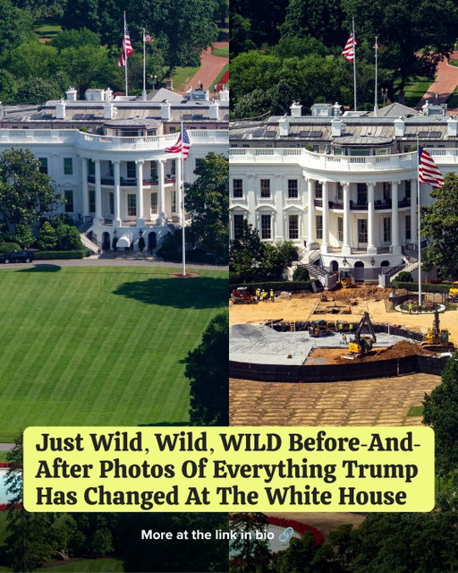 Since Trump took office for his second term, he's been making quite a few changes to the White House. If you haven't been living under a rock, you've probably heard this, that, and the third about the construction of the White House ballroom, along with the recent situation surrounding the Reflecting Pool. Well, those weren't the only big renovations. Here's everything Trump has changed, redecorated, or renovated at the White House since his reelection...see more at the link in bio. 

📷: Getty Images